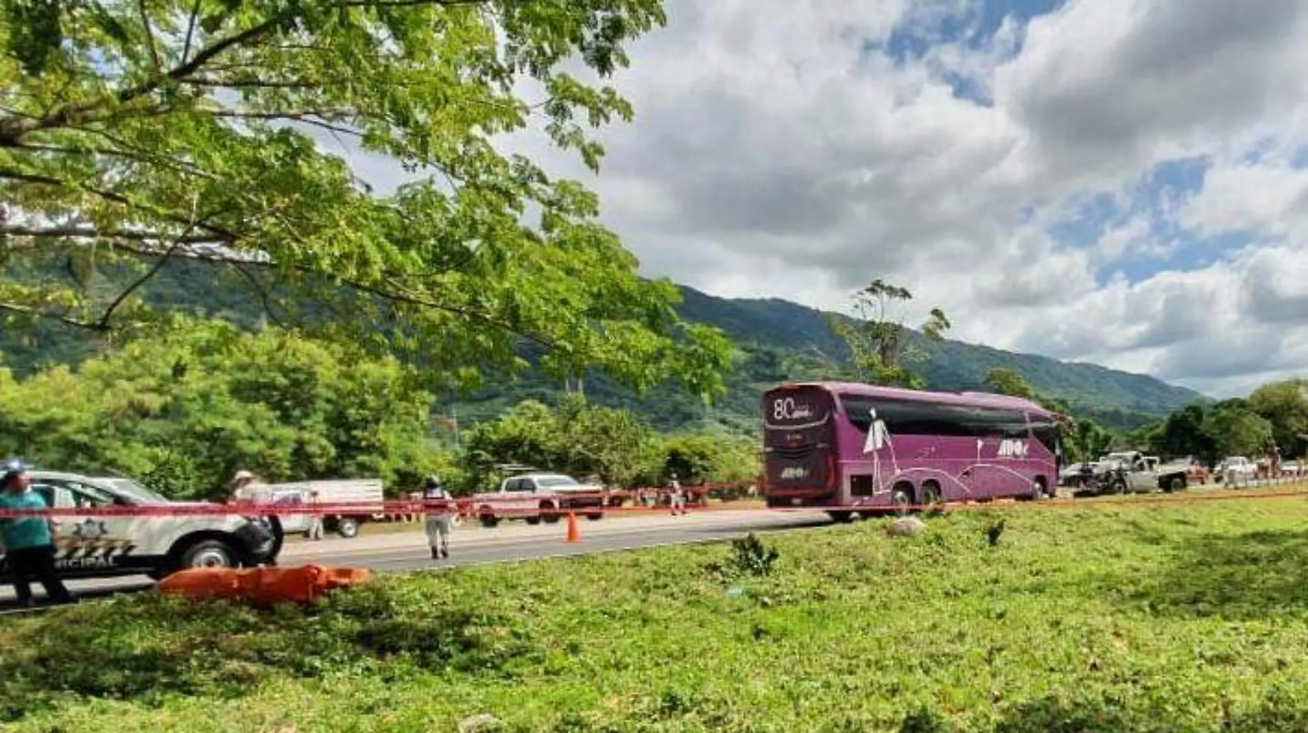 accidente, camion